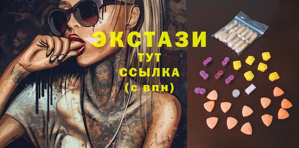 сатива Лабытнанги