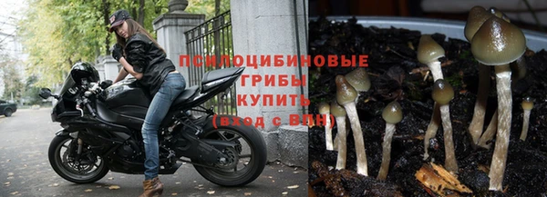 каннабис Куйбышев