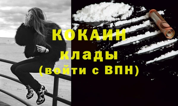 сатива Лабытнанги