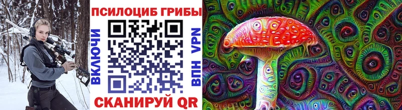 Галлюциногенные грибы ЛСД  Райчихинск 